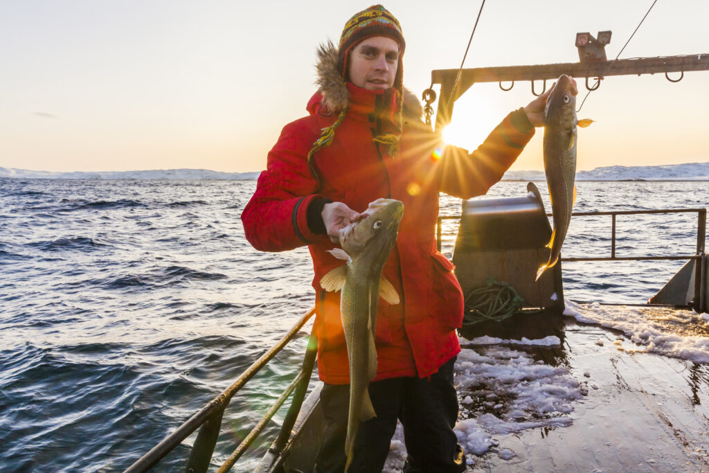 Fisherman on boat with cod in the hands