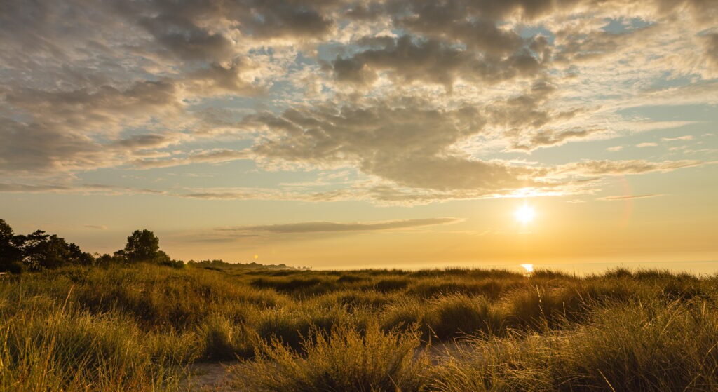 Sunrise in the dunes of Denmark