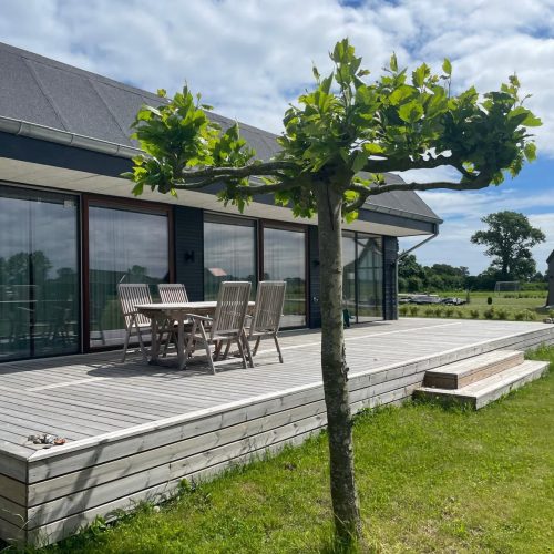 WhatsApp Image 2025-04-04 at 22.26.13 (1)