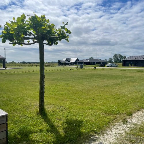 WhatsApp Image 2025-04-04 at 22.26.14